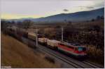 Einer der seltenen G�terz�ge ...  Gerhard H�rhan 10.12.2011