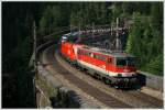 1142 619 + 1116 ...  Leitner Thomas 12.07.2010