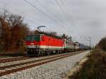 br-1144 Die 1144 234 am 31.10.2009 mit einem KLV-Zug unterwegs bei Haar (M�nchen)