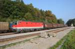 1144 232 am 23.09.09 in Aßling/Obb ... 1144 232 am 23.09.09 in Aßling/Obb ...
