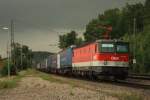 1144 223 mit einem G�terzug in A�lingen am 30.07.2010  ...