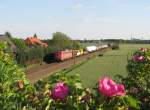 140 537 (mit eingeschaltetem Zugschluss) zieht am fr�hen Abend des ...