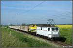 DP53 mit Kubekcom 16 aus Ri. Stralsund am 05.06.2010 in ...