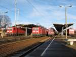 143er-Treffen am 29.12. 09 in Ruhland; v.l.n.r.: 143 818-3 (RE nach ...