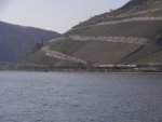 Eine RB kurz vor R�desheim. 18.4 .10.  ...