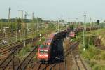 Im GLeisvorfeld von Halle ...  G. Glauer 29.08.2010