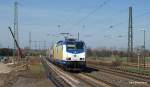 ME 146-01  Schee�el  brettert ...  Lars Backhaus 09.04.2010