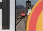 . Hinunter zum n�chsten ...  Gisela, Matthias und Jonas Frey 27.11.2011