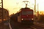 BR 155 (5205 Photos)