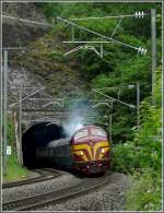 Die Kartoffelk�fersaison hat wieder begonnen, als am 12.06.10 die Museumslok ...