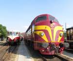 CFL  Kartoffelk�fer  1604 und ...  Maxim P. R. 26.05.2011