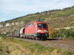 182-021 am 22.09.2007 in Th�ngersheim   ...