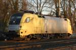 br-182-mrce Eine der lezten gelben!ES 64 U2-037 im Einsatz f�r EGP durchf�hrt am 16.2.10 im letzten Licht Lz Ratingen-Lintorf