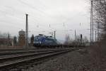 MWB-Stier Nummer zwei: 182 ...  Jens Baumhauer 21.01.2012