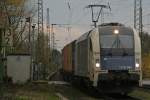 WLB 1216 950 durchf�hrt am 14.11.09 Ratingen-Lintorf  ...