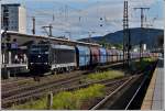 BR 185 (21 Photos)