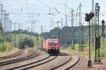 185 239 am 28.08.10 in Buchholz/Nordheide  ...