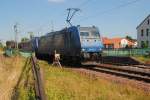 br-185-private 185 530-3 und ihre Schwesterlok 185 519 in H�melerwald am 27.06.10.