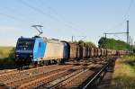 Alpha Trains (12 Fotos)