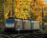 W�hrend am 28.10.2011 die ...  Mario Sch�rholz 31.10.2011
