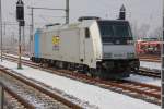 Bei eisiger K�lte wartet ...  Steffen Eule 06.02.2012
