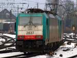 Hier rangieren die Cobras 186 210 und 186 229 am ...