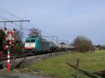 BR 186 Cobra-Lok 2813 (186 205) durchf�hrt mit einem Kesselwagenzug die Ortschaft Hoeselt (Belgisch-Limburg) in Richtung Aachen-West. Aufgenommen am 27/02/2010.
