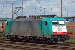 Cobra 2804 ...  Christian Sch�rmann 01.09.2010