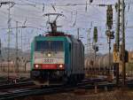 186 229-1 rangiert am ...  Mario Sch�rholz 21.11.2010