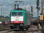 Cobra 186 196 (2804) ...  Mario Sch�rholz 09.07.2011