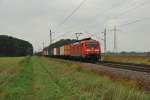 Br 189 006-0 mit ...  Luca Ogliari 16.10.2010