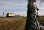 Impression an der Bahn zwischen Treuchtlingen und Gunzenhausen.(03.03.2010,bei Treuchtlingen)  ...