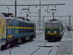 Eine seltene Begegnung im Bahnhof von Luxemburg. Am 21.12.09 verl�sst ...