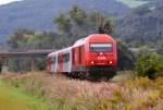 2016 008 mit REX2789 ...  Markus U 07.11.2009