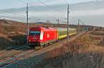 br-2016 Im ersten Sonnenlicht des Tages bef�rderte die 2016 098 den R 9950 von Wien Meidling nach Sopron. Die Aufnahme entstand kurz vor Pfaffst�tten am 21.02.2010.