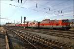 Auch heuer gab es ...  Leitner Thomas 23.03.2010