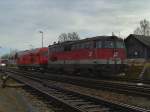 Die 2043 029 und eine 2016 am 04.02.2008 abgestellt in ...