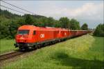 br-2016 2016 055 und eine weitere 2016 ziehen den Holzzug 55557 von Zeltweg nach Frantschach. 
Eppenstein 8.6.2010