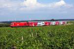 2016 006 brachte am ...  Markus U 05.07.2010