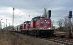 Uwe Adam Eisenbahnverkehrsunternehmen (137 Fotos)