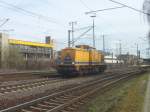 BR 203 203 310-8, im M�rz 10 in Lehrte.
