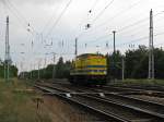 Kubecon Nr.16 f�hrt am 25.06. 10 allein durch Hosena  ...