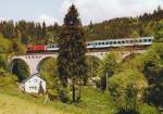 N�rdlich von Wurzbach �berquert ...  J�rg Sch�fer 03.11.2011