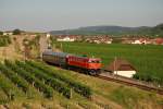 2050.09 bespannte am 26.07.2007 den Sonderzug 16000 von Wien Heiligenstadt ...