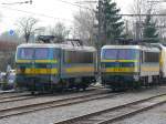 BR 21 Der Bahnhof Welkenraedt war am Wochenende wieder Parkplatz f�r einige E-Loks. Hier im Bild 2120 und 2713. Aufgenommen am 20/02/2010.