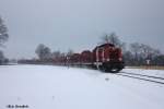 213 134 mit einem Holzzug bei Lindwedel am 6.1.10.  ...