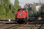 214 004 (262 004) ...  Sebastian Fuchs 08.11.2011