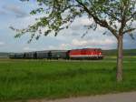 br-2143 Als erster Nostalgiezug auf der Lokalbahn Korneuburg-Hohenau fuhr die 2143 053-3 am 01.05.2010 zwischen Korneuburg und Ernstbrunn. Hier unter einem bl�henden Apfelbaum bei Harmannsdorf (01.05.2010).