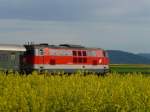 br-2143 Nachschuss der 2143 053-3 'im' bl�henden Raabsfeld bei Harmannsdorf. (01.05.2010)
