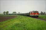 Diesellok 2143 038 f�hrt ...  Leitner Thomas 05.05.2010